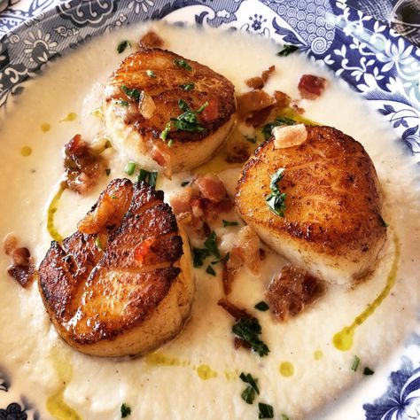 Scallops And Cauliflower, Cauliflower Purée, Seared Sea Scallops, Cauliflower Puree, Seafood Entrees, Seared Scallops, Sea Scallops, Scallop Recipes, Scallops Seared