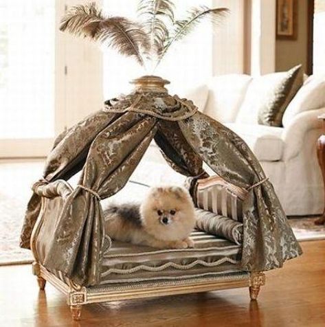 20 Modern Pet Beds, Design Ideas for Small Dogs Katt Diy, Dog Kennel Cover, Pet Spaces, Diy Dog Bed, Dog Beds For Small Dogs, Cool Dog Beds, Modern Pet, Handmade Pet, Luxury Pet