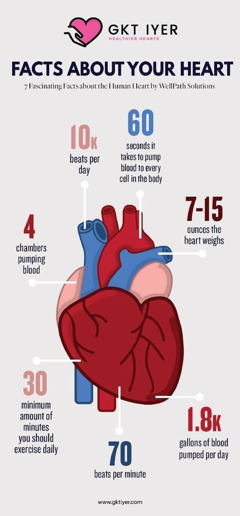 FACTS ABOUT YOUR HEART Heart Health Facts, Heart Infographic, National Heart Month, Heart Facts, Cardiothoracic Surgery, Interventional Cardiology, Healthy Heart Tips, Vascular Surgery, Heart Month