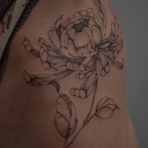 When I was learning, even the thought of tattooing a chrysanthemum terrified me. But 2 years later and I am obsessed with them! Thank you @heatherknightx Made @atelierfour #chrysanthemum #chrysanthemumtattoo #finelinetattoo #finelinetattoocornwall #finelinefloraltattoo #finelinetattoodevon Chrisantem Tattoo, Fine Line Chrysanthemum Tattoo, Tattoo Chinese, Chrysanthemum Tattoo, Fine Line Tattoos, Fine Line, Chrysanthemum, Tatting, Thank You