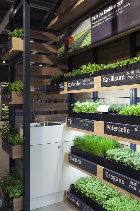 ©studiomfd, Instore, Herb Garden, retail, design, green, eco, albert heijn, XL (www.studiomfd.com) Indoor Vegetable Garden, Hydroponic Grow Systems, Indoor Farming, Grocery Store Design, Supermarket Design, Backyard Greenhouse, Fruit Shop, Diy Store, Farm Shop