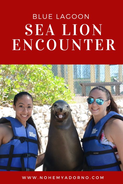 I recently went on a Bahamas Paradise Cruise, Onboard The Grand Classica Cruise Ship. While on the cruise, I booked and excursion with my friend Clarissa, the Sea Lion Encounter at Blue Lagoon. We got to see a California Sea Lion up close and personal. Charlotte was the name of the sea lion that we encountered. #thebahamas #thebahamastravel #nassau #nassaubahamas #bahamascruise #thebluelagoon #bluelagoonbahamas #bahamasvacation Bahamas Vacation, Bahamas Cruise, Nassau Bahamas, Enjoy Reading, Sea Lion, Destinations Travel, The Bahamas, Once In A Lifetime, Blue Lagoon