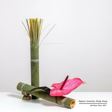 Bamboo Centerpieces, Ikebana Sogetsu, Centerpieces Floral, Sogetsu Ikebana, Bamboo Planter, Ikebana Flower, Zen Gardens, Floral Art Design, Ikebana Flower Arrangement