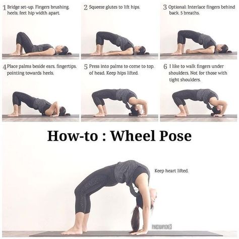 Yoga Wheel Pose, Wheel Pose Yoga, No One, Morning Exercise, Wheel Pose, Yoga Wheel, Bridge Pose, Do Yoga, Yoga Help