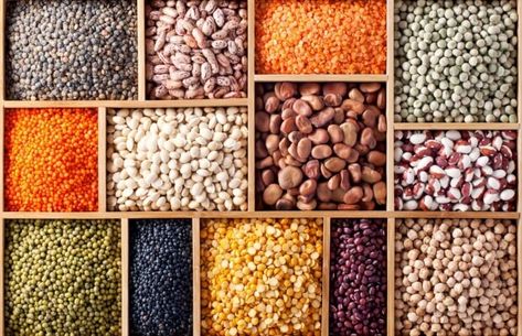 Protein: What you need to know Indian Beans, Lentils Nutrition, Good Protein Foods, Beans And Lentils, Lentils Benefits, Indian Lentils, Canada Food, Heart Healthy Diet, Meat Free Recipes