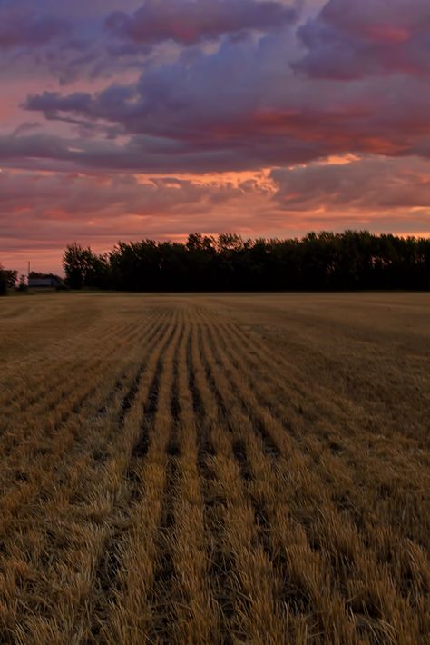 Incredible prairie sky in northern Alberta. Alberta Prairie, Country Sunset, Country Backgrounds, Peace River, Country Photography, Western Photography, Canada Photography, Western Aesthetic, Best Sunset