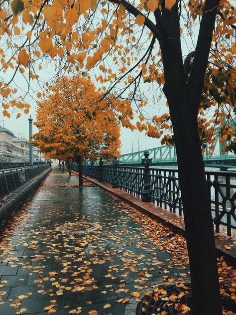 Budapest Autumn, Autumn City Aesthetic, Fall Is Coming, Fall Mood Board, Budapest Hungary, Autumn Scenery, Beautiful Places On Earth, City Photography, Autumn Cozy