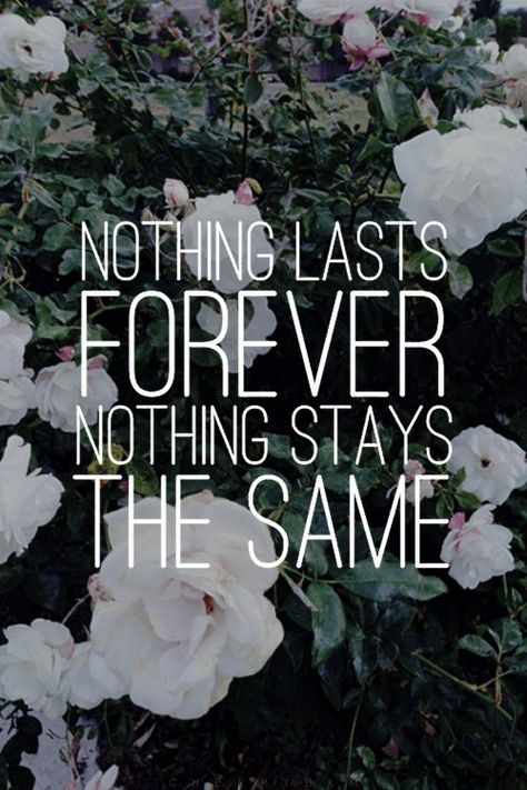 Nothing lasts forever. nothing stays the same Nothing Lasts Forever Quotes, 5 Seconds Of Summer Lyrics, 5sos Lyrics, Brother Sister Quotes, Nothing Lasts Forever, Forever Quotes, 25 21, Sister Quotes, Cute Love Quotes