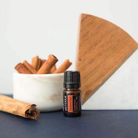 . Cinnamon may remind you of fall, apple pies, or even sweet potatoes, but have you tried doTERRA® Cinnamon Bark during the summer? . The… Doterra Cinnamon Bark, Doterra Cinnamon, Doterra Oil, Apple Pies, Cinnamon Bark, Doterra Oils, Doterra Essential Oils, Have You Tried, Sweet Potatoes