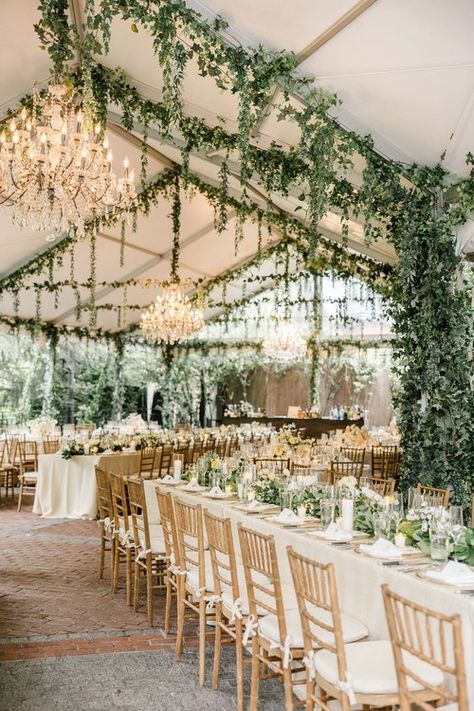 Light And Dark Green Wedding, Wedding Ideas Indoor Simple, Wedding Green And Champagne, Wedding Green Table Decor, Sage Garden Wedding, Olive White Wedding, Green White And Wood Wedding, Mountain Wedding Table Settings, Neutral Pine Green Wedding