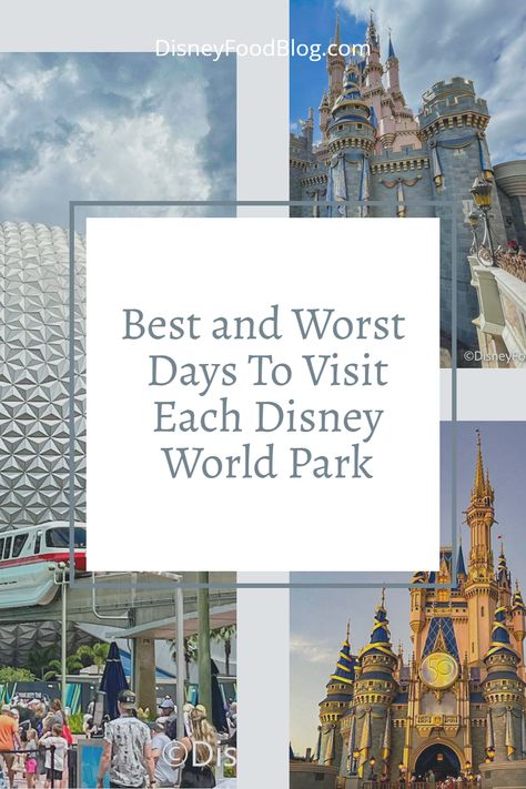 Best Days To Visit Each Disney Park, 2 Days At Disney World, Disney World Honeymoon, Caribbean Holiday, Disney World Attractions, Disney 2024, Disney World Vacation Planning, Orlando Parks, Disney Trip Planning