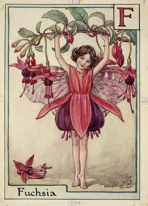 The Fuchsia Fairy © The Estate of Cicely Barker Elsa Beskow, Fairy Paintings, Fairy Illustration, Fairy Artwork, Cicely Mary Barker, 인물 드로잉, Vintage Fairies, Fairy Magic, Flower Fairies