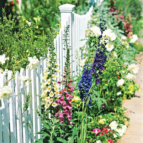 A sidewalk garden is a great way to add color to your front-yard! More front-yard sidewalk-garden ideas: http://www.bhg.com/gardening/landscaping-projects/landscape-basics/sidewalk-garden-front-yard/?socsrc=bhgpin072913whitefence=3 Front Yard Sidewalk Ideas, Sidewalk Garden Ideas, Sidewalk Ideas, Picket Fence Garden, Sidewalk Landscaping, Saving Water, Garden Wallpaper, White Picket Fence, Have Inspiration