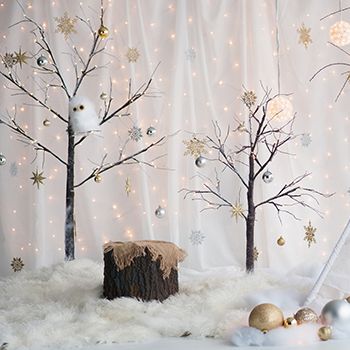 Beautiful Christmas Decorations Diy Christmas Photoshoot, Diy Christmas Backdrop, Photography Backdrops Diy, Photo Backdrop Christmas, Decoration Vitrine, Photoshoot Backdrops, White Trees, Christmas Photo Booth, Backdrop Frame