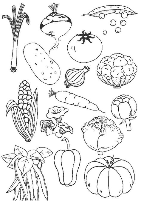 Garden Signs Diy, Vegetable Coloring Pages, Vegetable Drawing, Art History Lessons, Pewter Art, Free Printable Crafts, Kindergarten Reading Activities, Farm Pictures, October Art