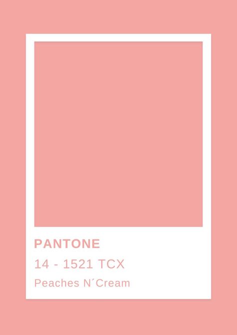 Peaches N´Cream Peach Pantone, Peaches N Cream, Peaches, Cream