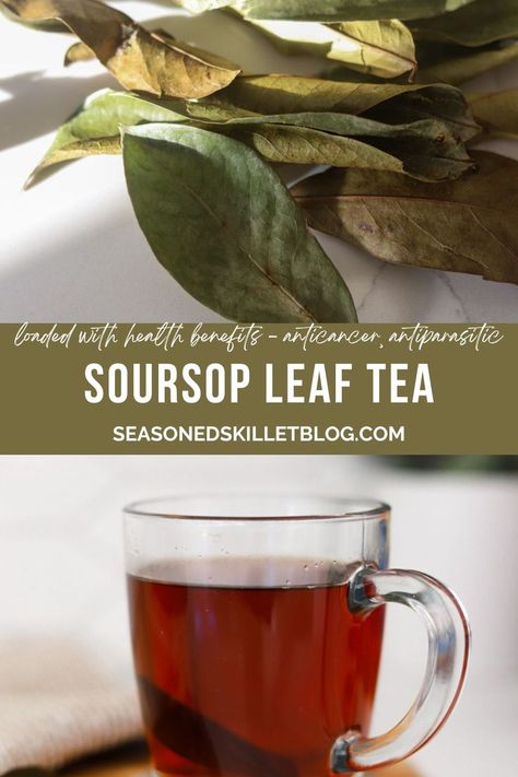 Soursop Tea Recipe Soursop Tea Recipe, Soursop Tea, Soursop Fruit, Boost Your Mood, Tea Recipe, Natural Home Remedies, Health Advice, Tea Recipes, Tea Leaves