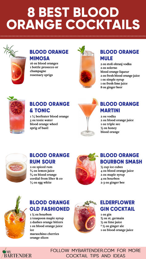 Blood Orange Cocktails Drinks Alcohol Recipes Fall, Special Cocktails, Orange Liquor Drinks, Orange Color Cocktails, Orange Drinks Alcohol, Orange Colored Cocktails, Orange Cocktail Recipes, Orange Cocktail, Best Cocktails