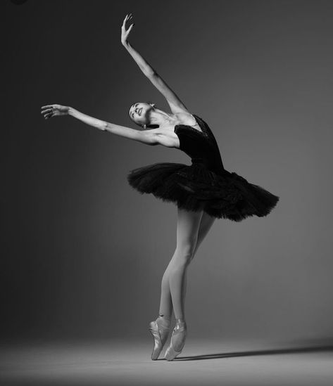 Ballerina Photography, Ballet Dance Photography, Ballet Images, Dancer Photography, Ballet Pictures, Ballet Beauty, Dance Photography Poses, 얼굴 드로잉, Ballerina Art