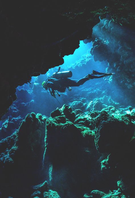 ... Rock Shelf, Reef Photography, Diving Videos, Scuba Diving Photography, Underwater Caves, Cave Diving, Ocean Photos, Best Scuba Diving, Scuba Diving Gear