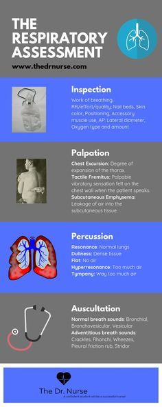 Click through for access to the downloadable version of this respiratory assessment checklist. Many more nursing study guides available including pharmacology health assessment pathophysiology dosage calculation and med-surg cheat sheets! Nursing | Nursing school | Nursing student | Respiratory system | Health assessment | Physical assessment | Respiratory assessment | Focused assessment | Nursing study guides Click through for access to the downloadable version of this respiratory assessment c Medical School Notes, Health Assessment Nursing, Nursing Cheat Sheet, Nursing Cheat, Lpn Schools, Nursing Assessment, Baseball Display, Baseball Tips, Nursing Study Guide