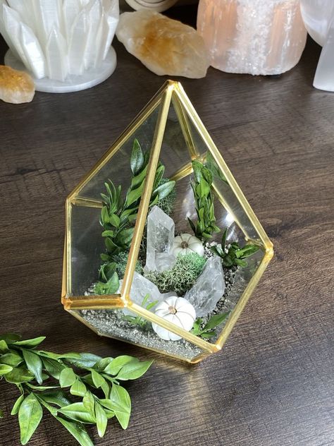 Crystal Terrarium Diy, Crystal Garden Terrarium, Clay Pumpkins, Crystal Terrarium, Crystal Room Decor, Geode Decor, Terrarium Kit, Magical Decor, Crystal Room