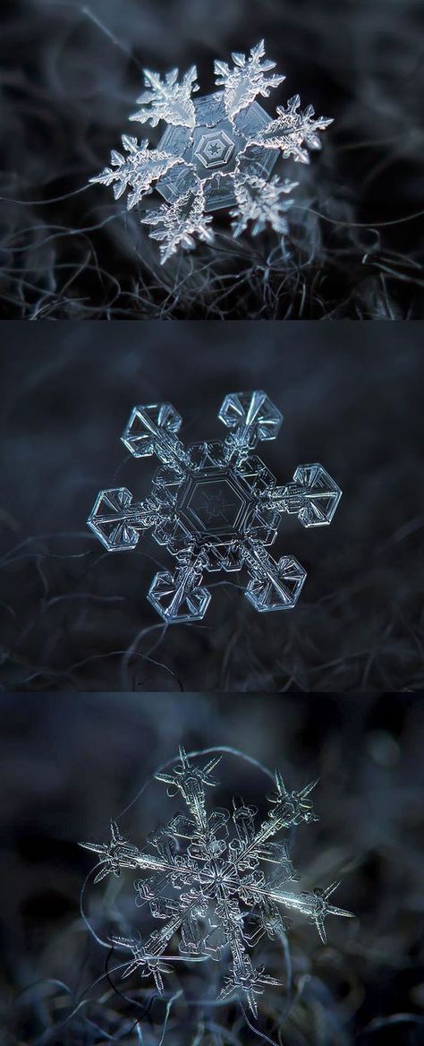 Macro Photography Making Miniatures Look Mega - Bored Art Images Of Snowflakes, Macro Fotografia, Macro Images, Snowflake Images, Photo Macro, Snow Flakes Diy, Charcoal Drawings, Foto Tips, Macro Photos