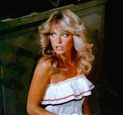 Charlie's Angels 70’s Hair, 1970s Hairstyles, Farrah Fawcet, 80s Celebrities, 70s Hair, 80s Hair, Charlie's Angels, Hairstyle Inspo, Blowout Hair