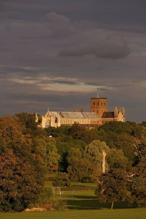 St Albans Abbey, Hertfordshire. St Albans England, St Albans, Tour Guide, Monument Valley, Mood Boards, Vision Board, Favorite Places, England, Natural Landmarks