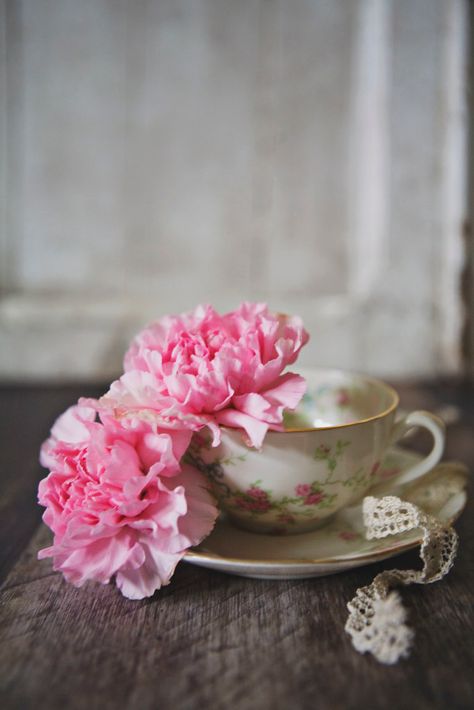 Teacup 4 | andrea | Flickr Tea Cup, Peonies, Tea Cups, Tea, Tableware, Flowers