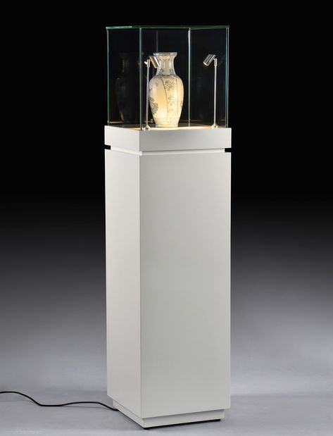 This lighted display pedestal is great for holding museum artifacts, art gallery pieces, high value retail products, and even jewelry at stores! Pedestal Ideas, Jewellery Stall, Display Plinth, Liquor Display, Museum Artifacts, Furniture Pedestal, Locking Cabinet, Jewelry Store Interior, Museum Display