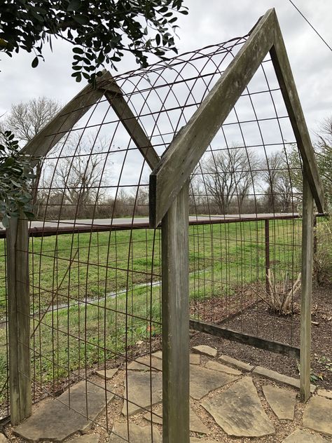 Vege Patch, Cattle Panel Trellis, Panel Trellis, Timber Projects, Garden River, Vintage Booth, Vegetable Garden Ideas, Family Homestead, Outdoor Greenhouse