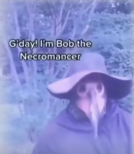 Bob The Necromancer, In A Nutshell, Memes, Movie Posters