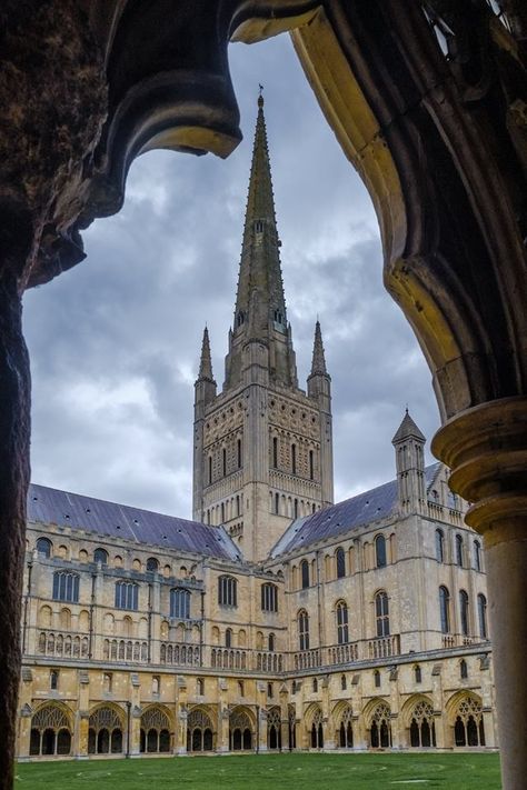 English Cathedrals, English Gothic, Norwich Cathedral, Posters Uk, English Architecture, Beautiful Churches, East Anglia, Western Culture, The Cloisters