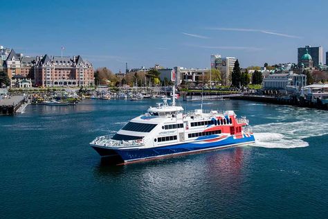 Skip the airport lines and driving by hopping aboard the Victoria Clipper ferry for a quick and easy cruise to Victoria. Day Trips From Seattle, Cruise Pictures, Visit Seattle, Downtown Seattle, San Juan Islands, Fishing Guide, Victoria Bc, Ways To Travel, Adventure Tours