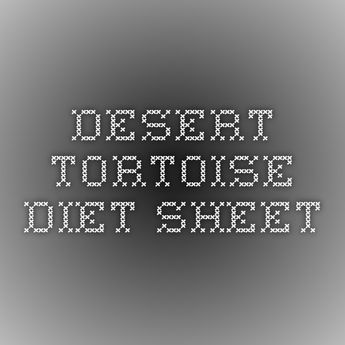 Desert Tortoise Food, Pancake Tortoise, Tortoise Diet, Russian Tortoise Diet, Tortoise Food, Tortoise House, Tortoise Enclosure, Tortoise Care, Russian Tortoise