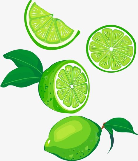 Lemon Graphic Design, Wacky Wallpaper, Lemon Vector, Lime Vector, Lemon Graphic, Lemon Logo, Lemon Drawing, Green Lemon, Fruits Drawing