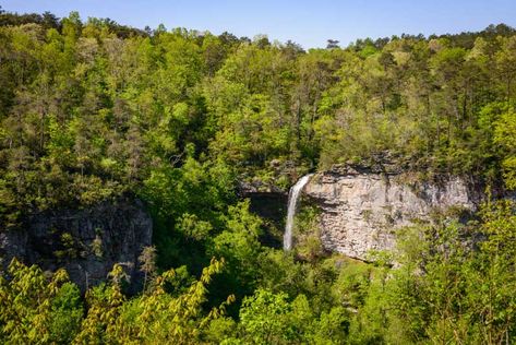 26 Best & Fun Things to Do in Fort Payne (AL) Fort Payne Alabama, Delaware Water Gap, Pocono Mountains, Lookout Mountain, The Tourist, Canoe And Kayak, Appalachian Trail, Walking Trails, Outdoor Oasis