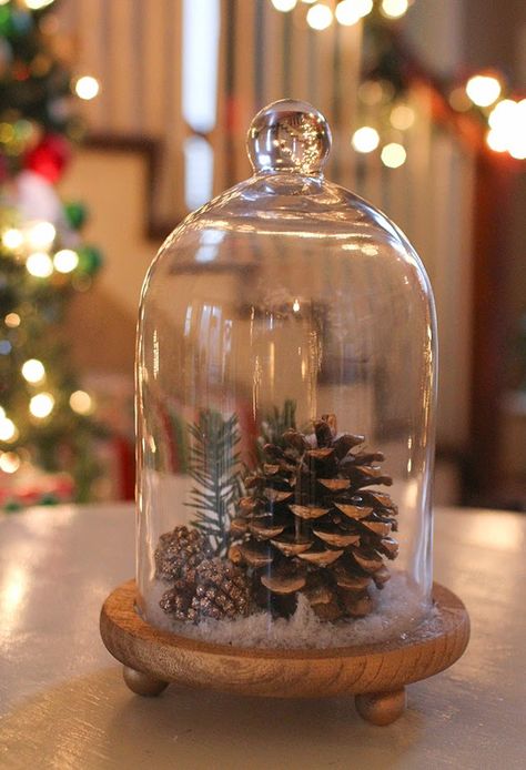 Glass Cloche Decor, Cloche Decor, Handmade Holiday Gifts, Inside Decor, Diy Holiday Gifts, Glass Cloche, Diy Holiday Decor, Kwanzaa, Christmas Mood