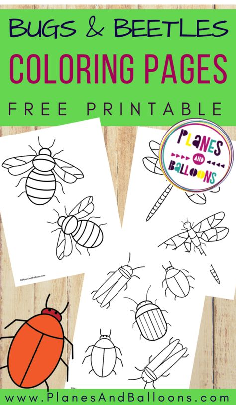 Bugs and insect coloring pages for preschoolers - free printable. #prek #preschool #spring #planesandballoons Preschool Bug Theme, Spring Bugs, Coloring Pages For Preschoolers, Tumblr Coloring Pages, Bug Activities, Preschool Spring, Insect Coloring Pages, Insects Preschool, Bug Coloring Pages