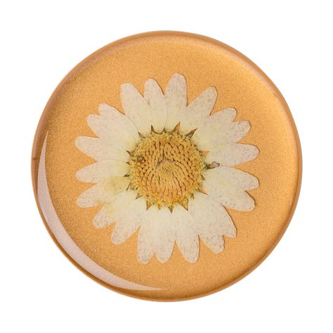 Pressed Flower Daisy PopSockets PopGrip Hand Snap, Bling Makeup, Best Selfies, Flower Daisy, Yellow Daisies, Flower White, Pop Top, White Daisy, Water Proof Case