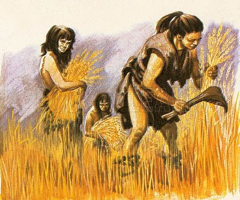 Neolithic Age, Stone Age People, Learn History, Early Humans, History Images, History Pictures, Stone Age, Picture Library, Anthropology