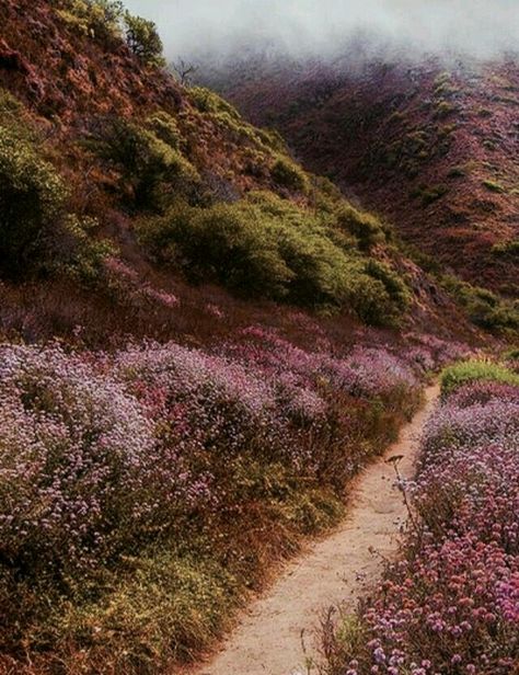 Heath Landscape, English Moors, Heather Hills, Felting Ideas, Wuthering Heights, Natural Landscape, Nature Landscape, Nature Aesthetic, Pretty Places