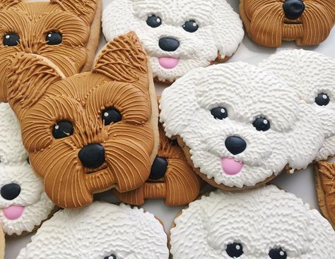 Angela Luisi Rudy on Instagram: “Sweet little doggos today 🐶 #bichonfrise #bichon #terrier #dog #doggo #dogs #dogcookies #cookies #sugarcookies #decoratedcookies…” Biscuit Decoration, Healthy Dog Treats Homemade, Dog Birthday Cake, Sugar Cookie Royal Icing, Dog Cakes, Dog Cookies, Dog Birthday Party, Sugar Cookie Designs, Animal Cookies