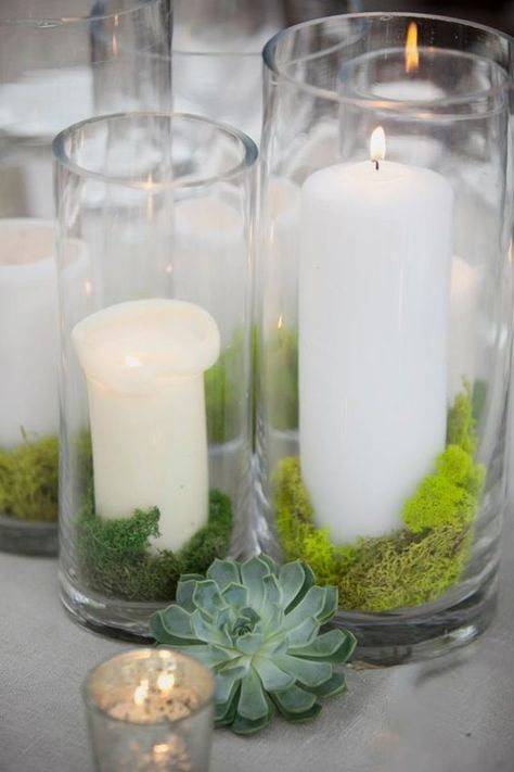 28 put moss inside candle holders to make them look woodland-inspired - Weddingomania Moss Candle Holder, Moss And Candle Centerpiece, Moss Vase, Moss Centerpiece, Centerpiece Candles, Dollar Tree Candle Holders, Dollar Tree Candles, Succulent Wedding Centerpieces, Moss Centerpieces