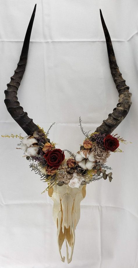 This beautiful Impala skull is ethically sourced and adorned with real flowers that have been dried or preserved through a process that removes most of the moisture of the plant and replaces it with a biodegradable substance. Flowers will stay lifelike for years to come with poper care! Flower crown consists of Eucalyptus, roses and gossypium This skull is the perfect unique home decor, especially for people interested in odditites, dried flowers, flower crowns and natural decor. Impala Skull, Deer Skull Decor, Real Skull, Cowboy Wedding, Natural Decor, Bone Art, Organic Nature, Skull Painting, Deer Skulls