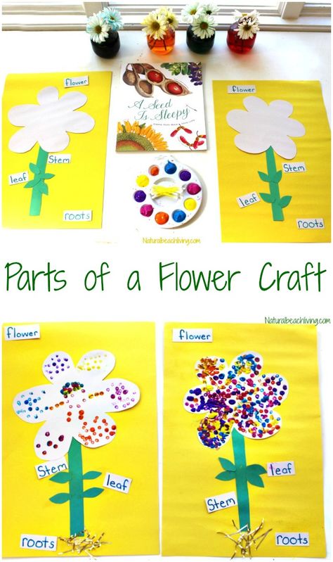 The Best Parts of a Flower Craft for Preschool and Kindergarten, Flower Crafts for Kids are Perfect for learning about flowers, Flower Science Preschoolers Parts Of A Flower Craft, Flowers Preschool, Flower Science, Flower Crafts Preschool, Flower Crafts For Kids, April Preschool, Craft For Preschool, Spring Lessons, Preschool Garden