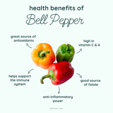 Bell peppers are not just colorful additions to your meals; they also offer numerous health benefits. Including bell peppers in your diet, along with a variety of other fruits and vegetables, can contribute significantly to your overall health and well-being. #bellpaper #healthyfood #nutrition #diet Bell Pepper Benefits, Pepper Benefits, Stuffed Peppers Healthy, Food Health Benefits, Healthy Food Facts, Nutrition Diet, Food Info, Overall Health, Food Facts