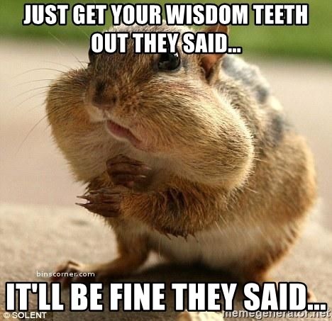 18 Wisdom Teeth Memes That Are Too Funny For Words | SayingImages.com Wisdom Teeth Meme, Wisdom Teeth Quotes, Dentist Meme, Operating Room Humor, Dentist Quotes, Dentist Jokes, Surgery Humor, After Wisdom Teeth Removal, Wisdom Teeth Funny