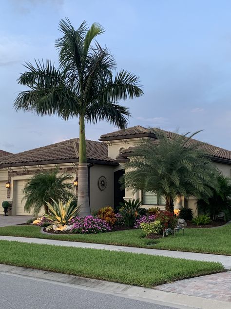 Palm Trees Landscaping Front Yard, Backyard With Palm Trees, Sylvester Palm Landscaping, Florida Palm Trees Landscaping, Small Front Yard Landscaping Florida, Florida Home Landscaping Front Yards, Palm Tree Front Yard Landscaping, Front Yard With Palm Trees, Tropical Landscaping Front Yard Florida